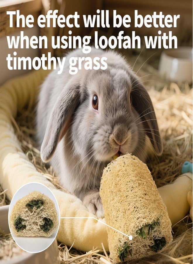 BESNEW 3 PCS Rabbit Chew Toys,100% Natural Loofah Without Additives,Bunny Chew Toys for Teeth,Fiber-Rich Rabbit Treats for Bunny Chinchilla Dogs - Image 3